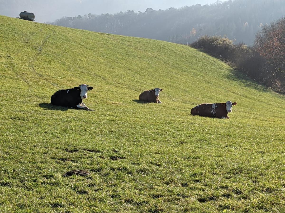Ferienwohnungen Am Aeppelsberg Volkesfeld Экстерьер фото